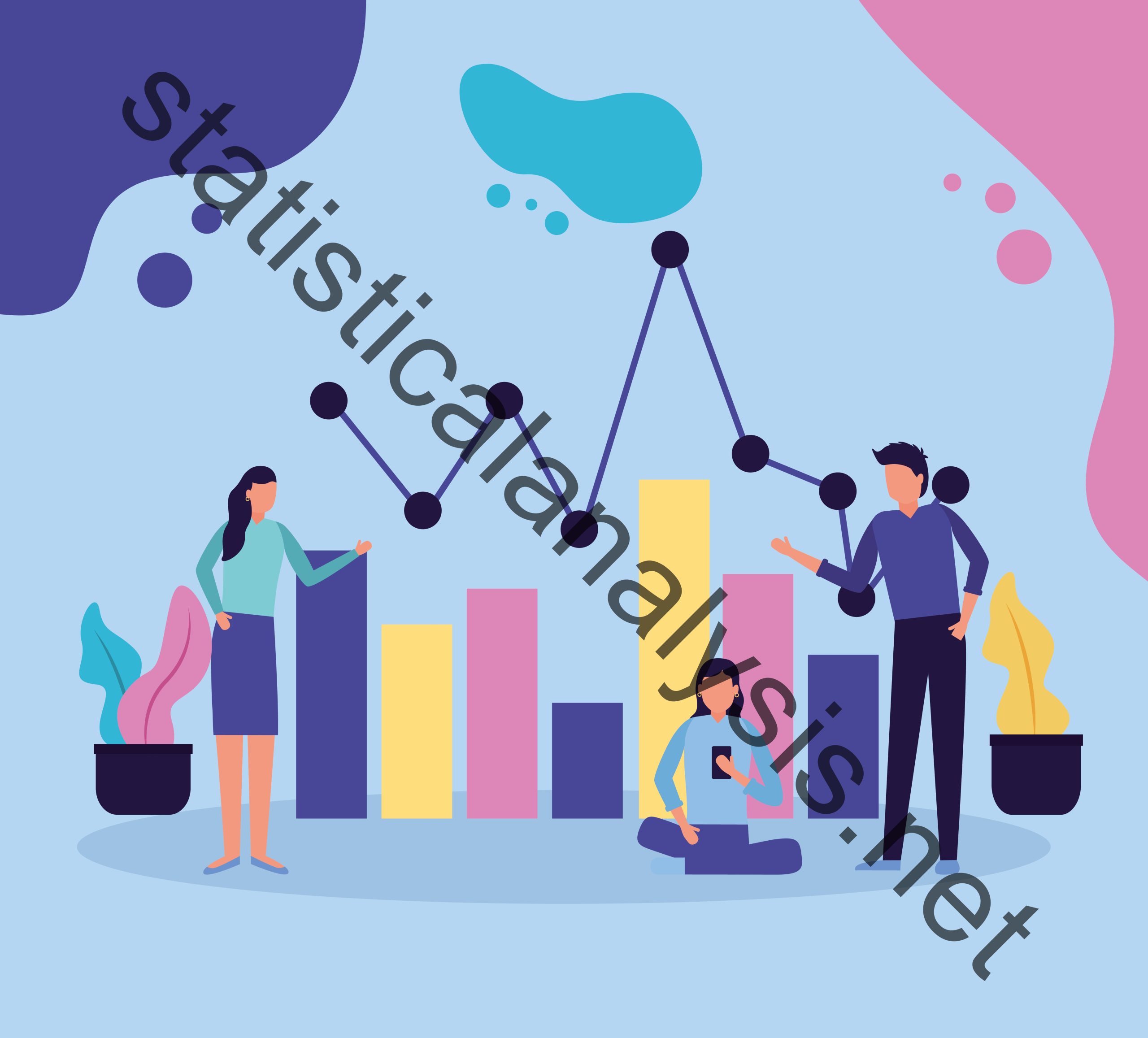 The Importance of Statistical Analysis in Social Science Research